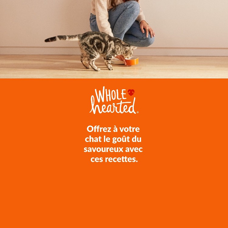 WholeHearted. Offrez à votre chat le goût du savoureux avec ces recettes. Magasinez.