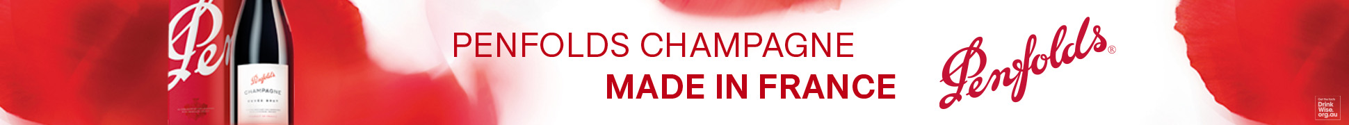 slim banner