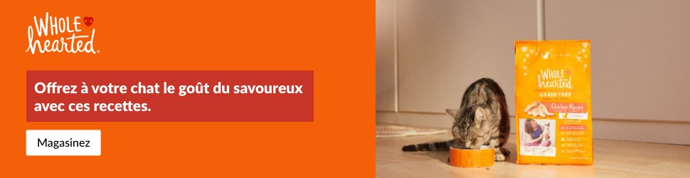 Advertisement. WholeHearted. Offrez à votre chat le goût du savoureux avec ces recettes. Magasinez.