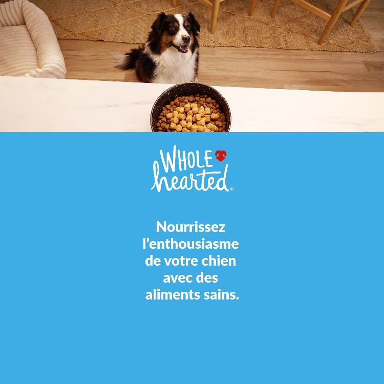WholeHearted. Offrez à votre animal ce dont il a besoin pour profiter de la vie ensemble. Magasinez.