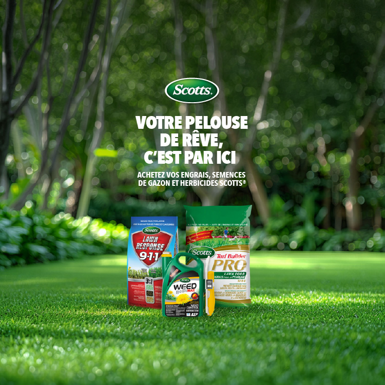 Scotts. Votre pelouse de reve c'est par ici. achetez vos engrais, semences de gazon et herbicides scotts. 