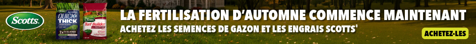 Advertisement. Scotts®. LA FERTILISATION D'AUTOMNE COMMENCE MAINTENANT
ACHETEZ LES SEMENCES DE GAZON ET LES ENGRAIS SCOTTS®. ACHETEZ-LE