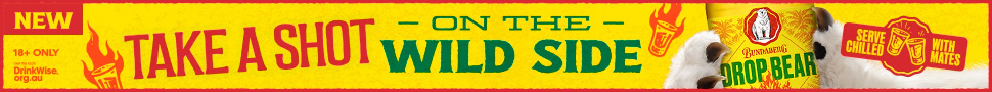 slim banner