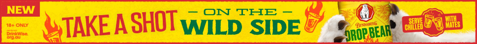 slim banner
