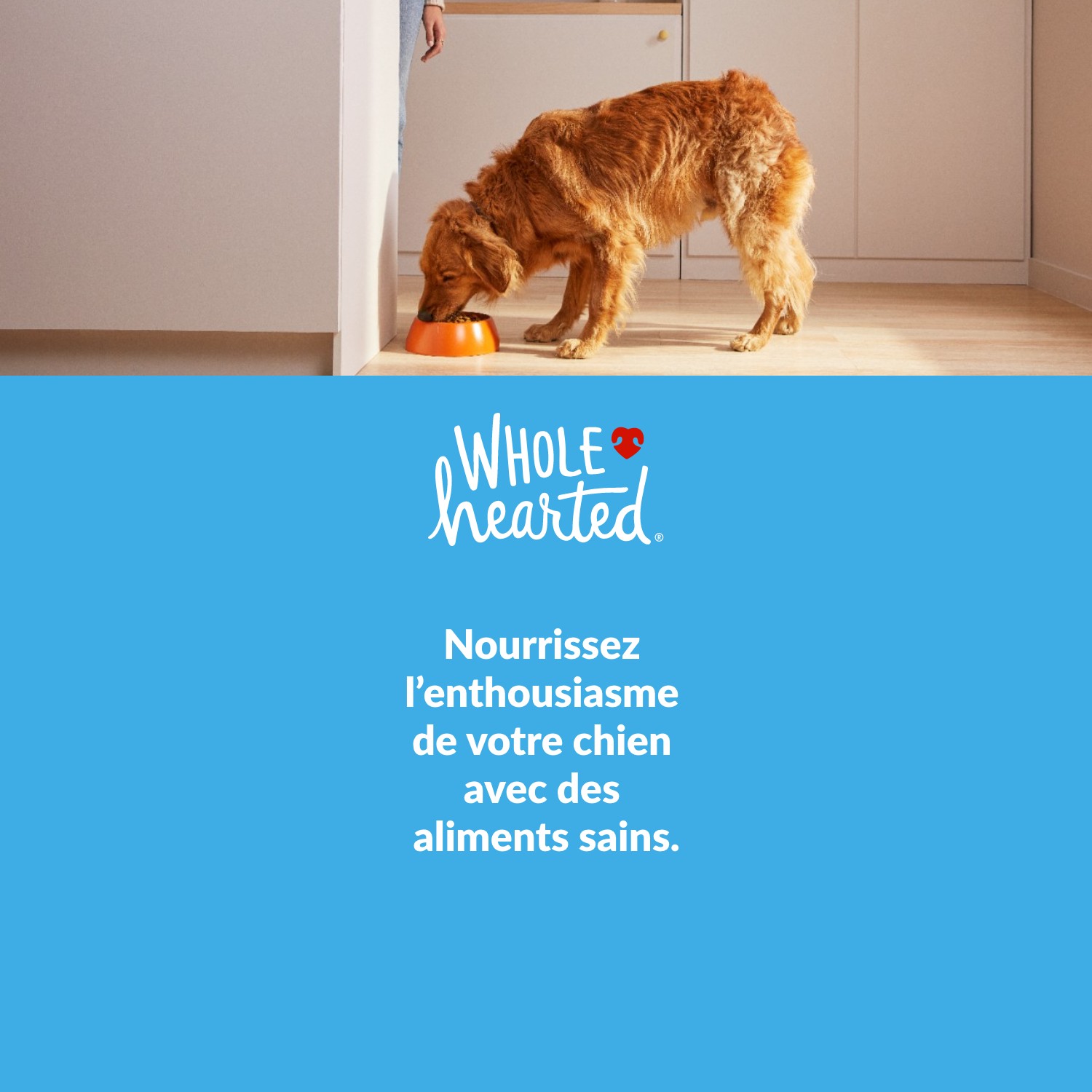 Wholehearted.Nourrissez l’enthousiasme de votre chien avec des aliments sains. Magasinez.