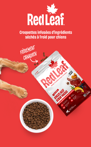 Red Leaf. Croquettes infusées d'ingrédients séchés à froid pour chiens.