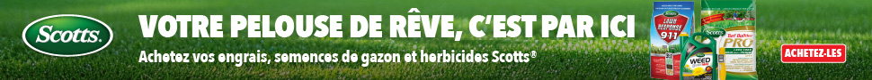 Advertisement. SCOTTS, VOTRE PELOUSE DE REVE, C'EST PAR ICI, ACHETEZ VOS ENGRAIS, SEMENCES DE GAZON ET HERBICIDES SCOTTS. ACHETEZ-LES.