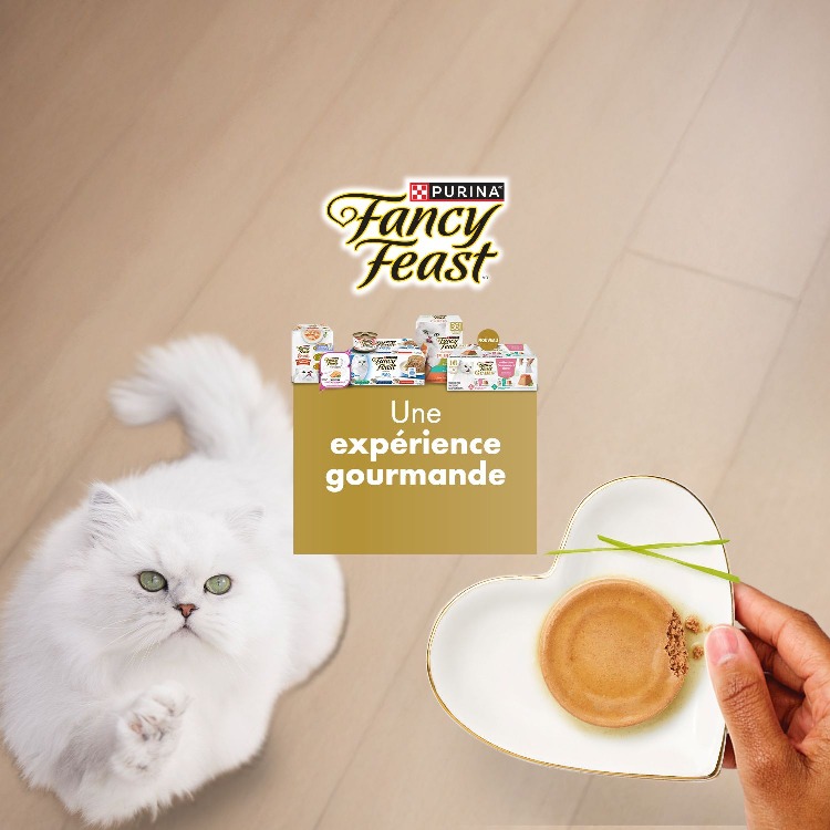 PURINA Fancy Feast Une expérience gourmande. Achetez maintenant. 