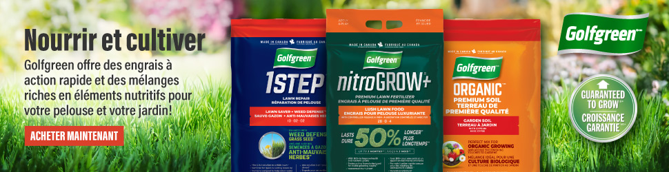 Advertisement. Golf Green. Nourrir et cultiver. 