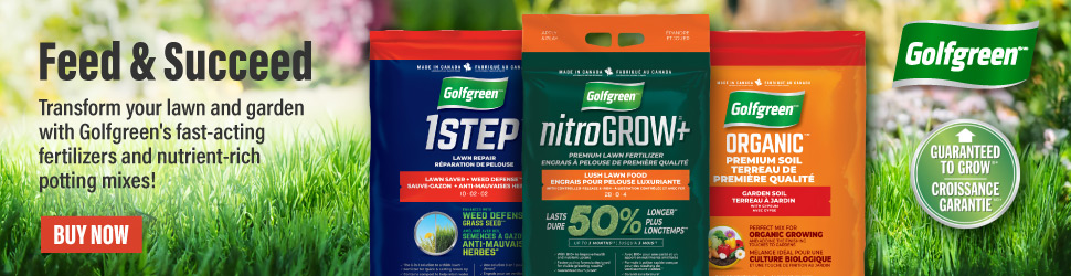 Advertisement. Golf Green. Feed & Succeed.