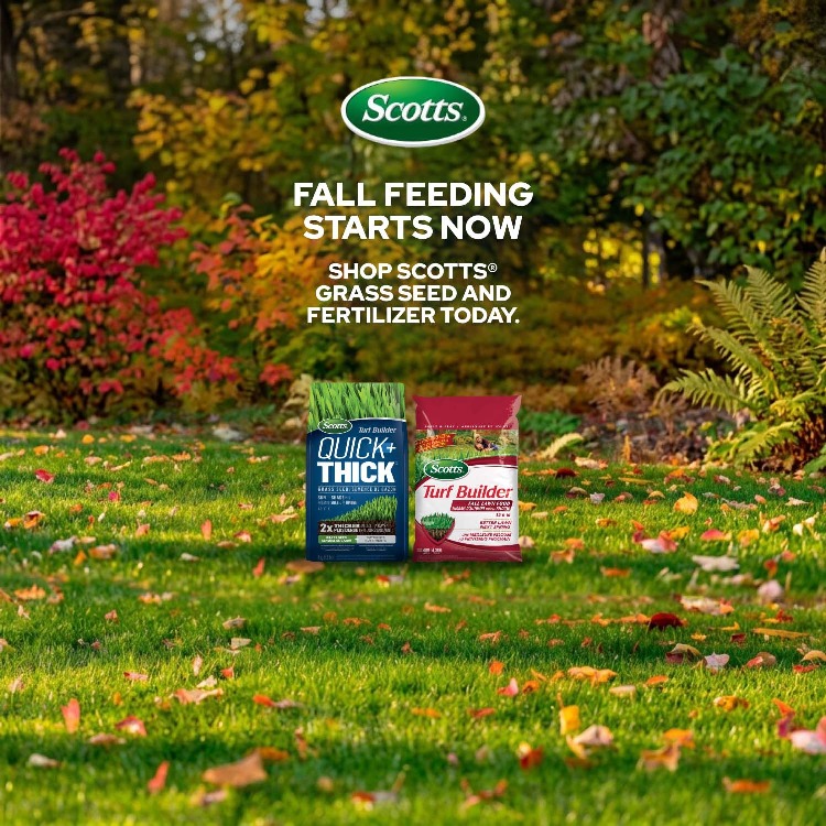 Scotts®. FALL FEEDING STARTS NOW
SHOP SCOTTS® GRASS SEED AND FERTILIZER TODAY. Shop now.