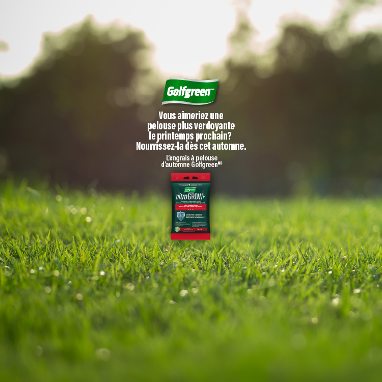 Golfgreen™. Vous aimeriez une pelouse plus verdoyante le printemps prochain? Nourrissez-la dès cet automne. Magaziner.