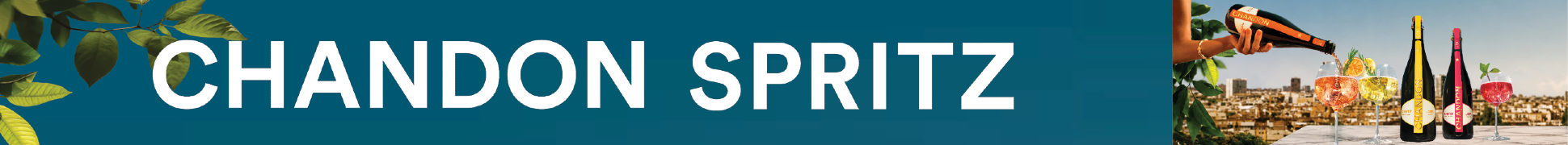 slim banner