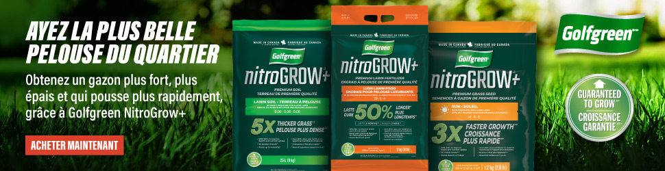 Advertisement. Golf Green. Avez La Plus Belle Pelouise De Quartier.