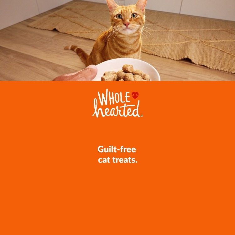 WholeHearted. Keep cats coming back with flavorful recipes. Shop Now.