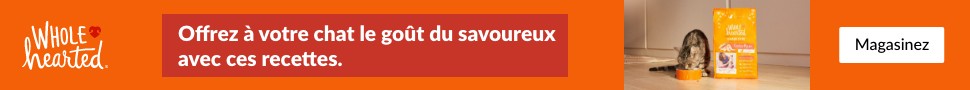 Advertisement. WholeHearted. Offrez à votre chat le goût du savoureux avec ces recettes. Magasinez.