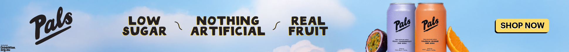 slim banner