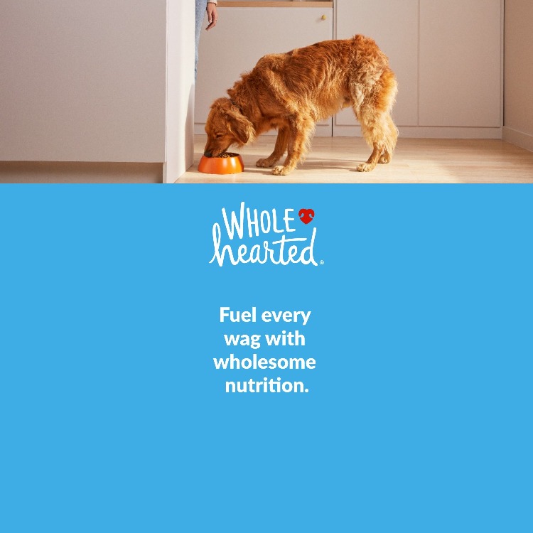 WholeHearted. Fuel every wag with wholesome nutrition. Shop Now.