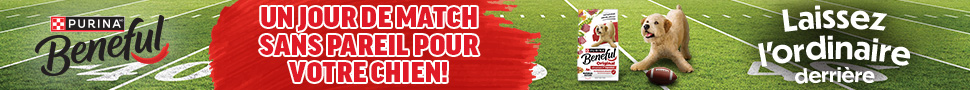 Advertisement. Un Jour De Match Sans Pareil Pour Votre Chien Purina Beneful