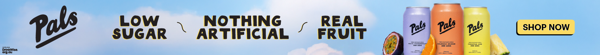 slim banner