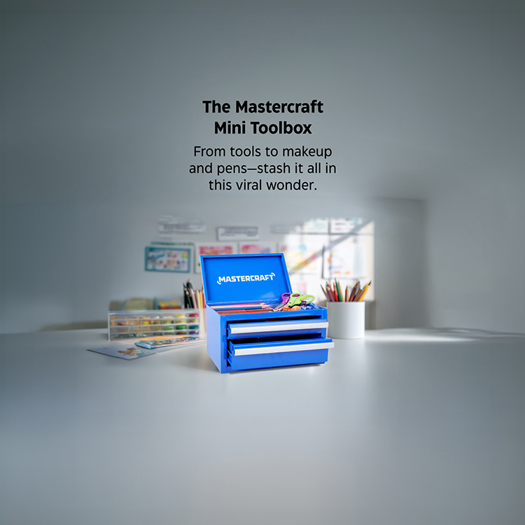 Mastercraft Mini Toolbox. From tools to markup and pens - stash it all in this viral wonder. Shop now!