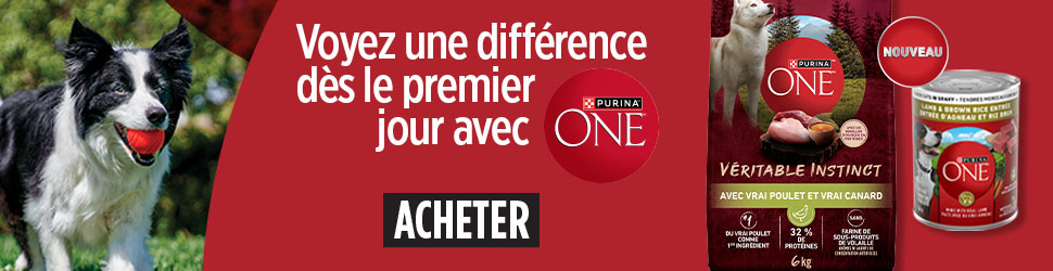 Advertisement. Purina ONE. Nouveau. Voyez une différence dès le premier jour avec ONE. Acheter. 