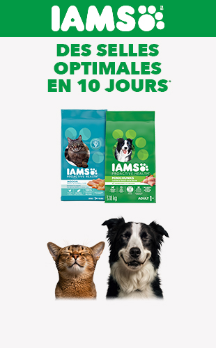 IAMS, DES SELLES OPTIMALES EN 10 JOURS.