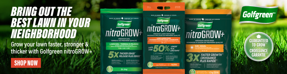 Advertisement. Golf Green. Bring Out the Best Lawn in Your Neighborhood.