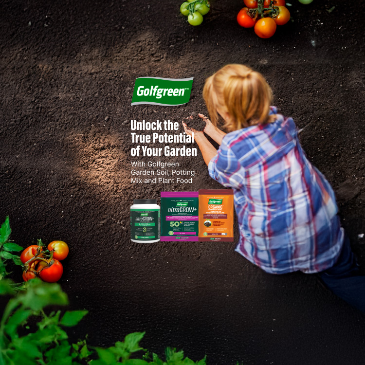 Golfgreen. Unlock the true potential of your garden. With golfgreen garden soil, potting mix and plant food. 