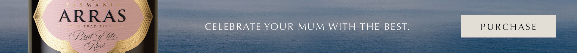 slim banner