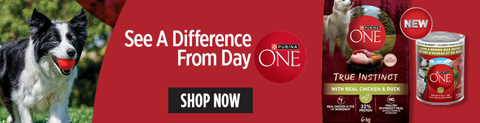 Advertisement. Purina ONE. New. See A Difference From Day ONE. Shop Now. 