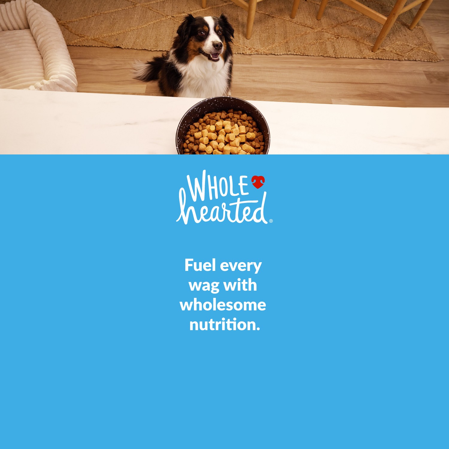 WholeHearted. Give your pets the goodness they need for more joyful moments together. Shop Now.