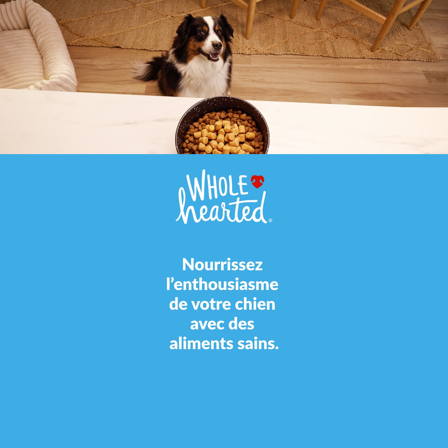 WholeHearted. Offrez à votre animal ce dont il a besoin pour profiter de la vie ensemble. Magasinez.