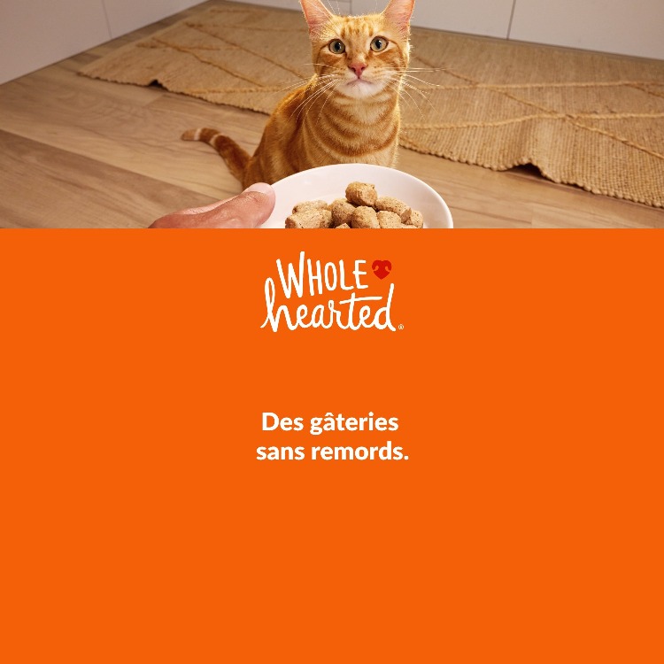 WholeHearted. Offrez à votre chat le goût du savoureux avec ces recettes. Magasinez.