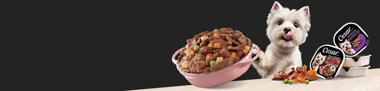 Cesar, CARE CRAFTED in every bite. New look available later this year © 2026 Mars or Affiliates.
