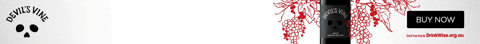 slim banner