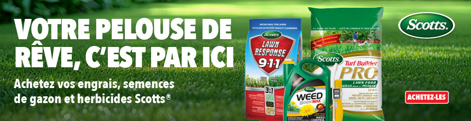 Advertisement. SCOTTS, VOTRE PELOUSE DE REVE, C'EST PAR ICI, ACHETEZ VOS ENGRAIS, SEMENCES DE GAZON ET HERBICIDES SCOTTS. ACHETEZ-LES.