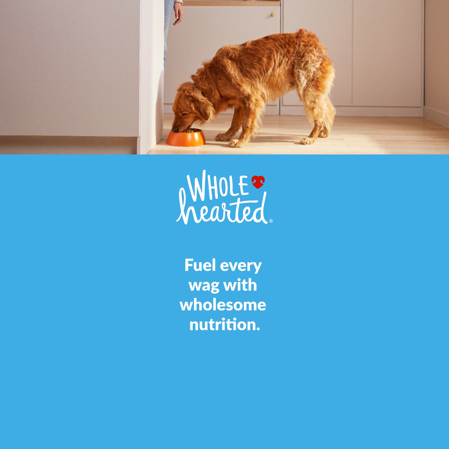 WholeHearted. Fuel every wag with wholesome nutrition. Shop Now.