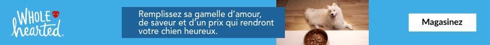 Advertisement. WholeHearted. Remplissez sa gamelle d’amour, de saveur et d’un prix qui rendront votre chien heureux.