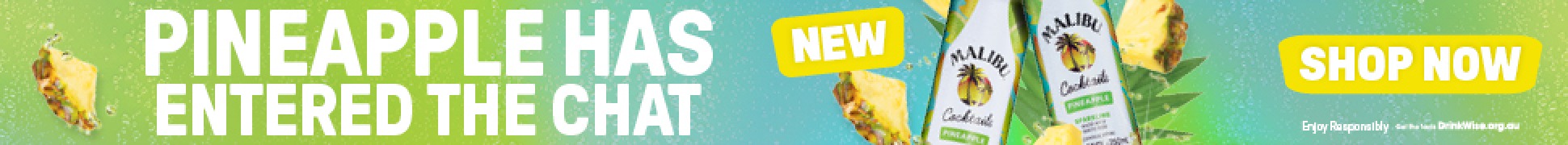 slim banner