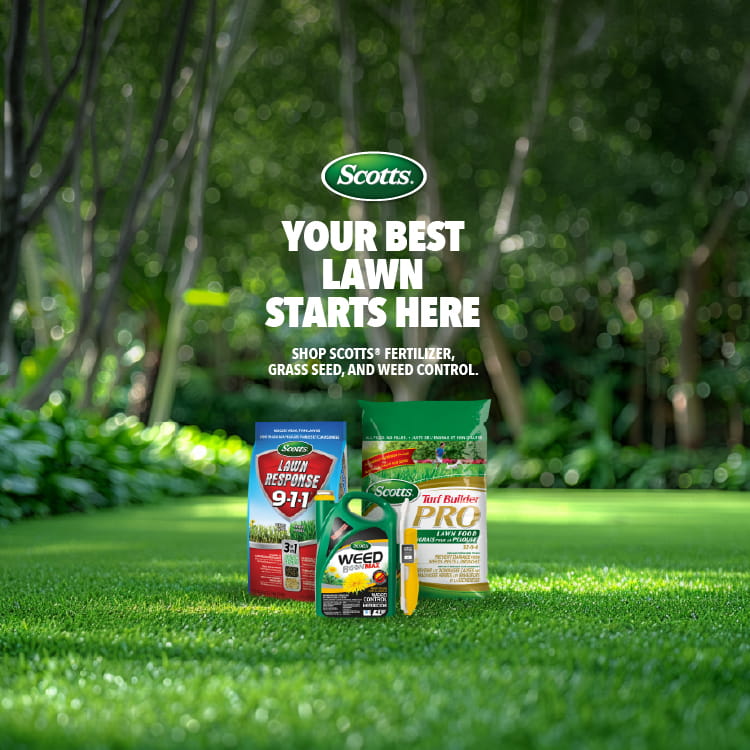 Scotts. your best lawn starts here. shop scotts fertilizer, grass seed, and weed control. 