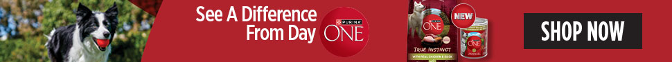 Advertisement. Purina ONE. New. See A Difference From Day ONE. Shop Now.