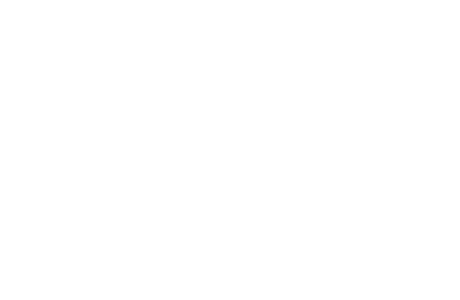 Red Leaf. Freeze-dried Infused Dog Kibble.
