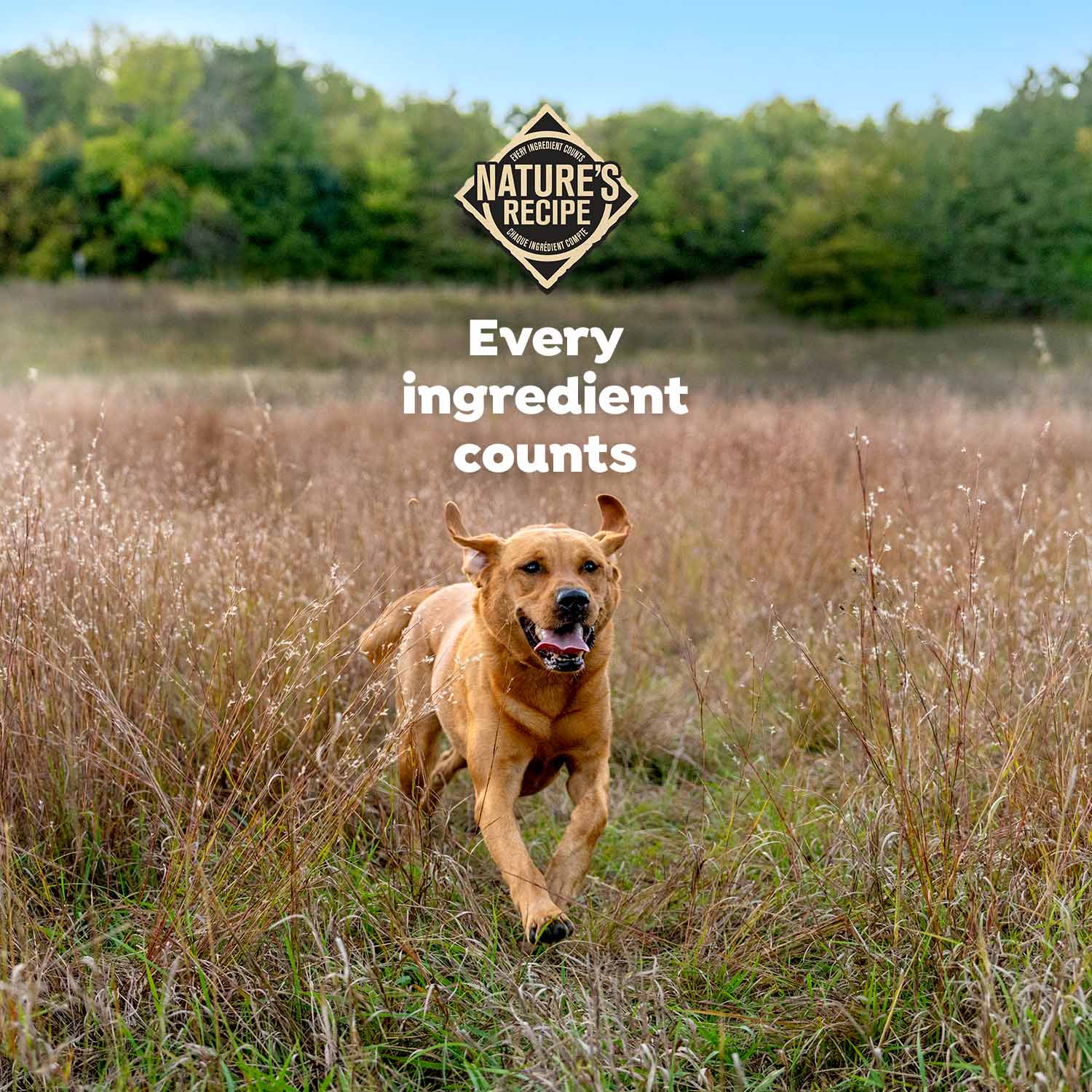Nature's Recipe, Every ingredient counts