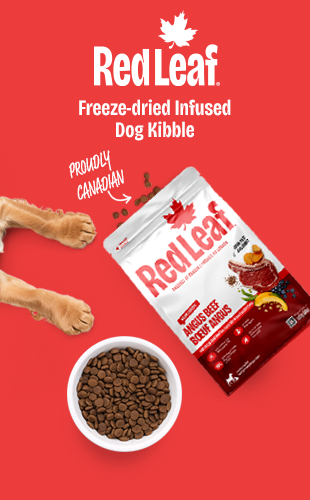 Red Leaf. Freeze-dried Infused Dog Kibble.