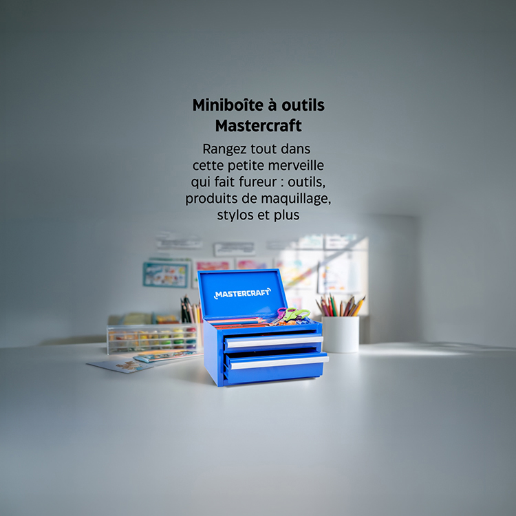 Miniboîte à outils Mastercraft. Vous allez l’adorer. Magasinez dès maintenant
