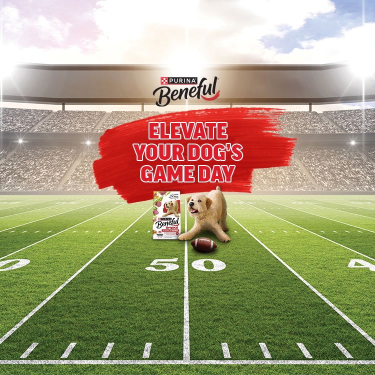 Purina Beneful Elevate Your Dog's Gameday