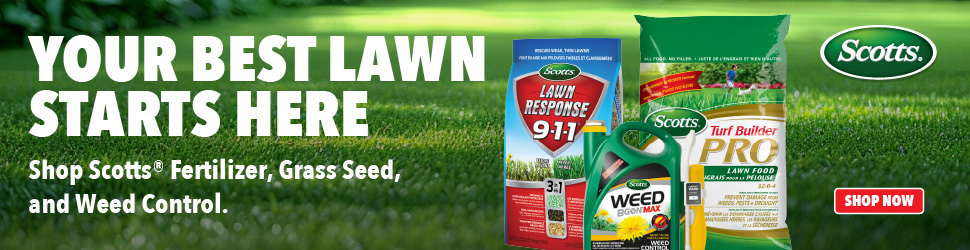Advertisement. SCOTTS, YOUR BEST LAWN STARTS HERE, SHOP SCOTTS FERTILIZER, GRASS SEED, AND WEED CONTROL. SHOP NOW.
