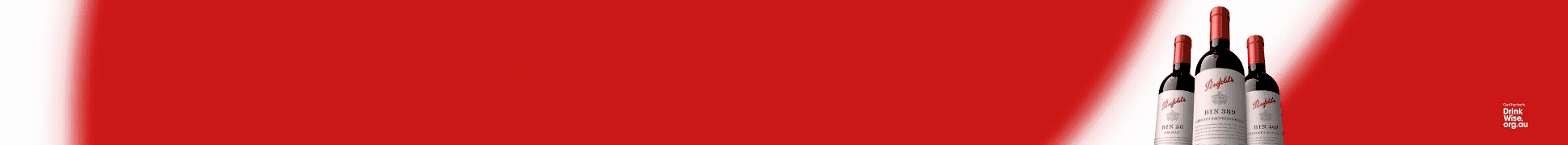 slim banner